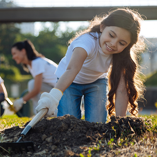 planting a tree